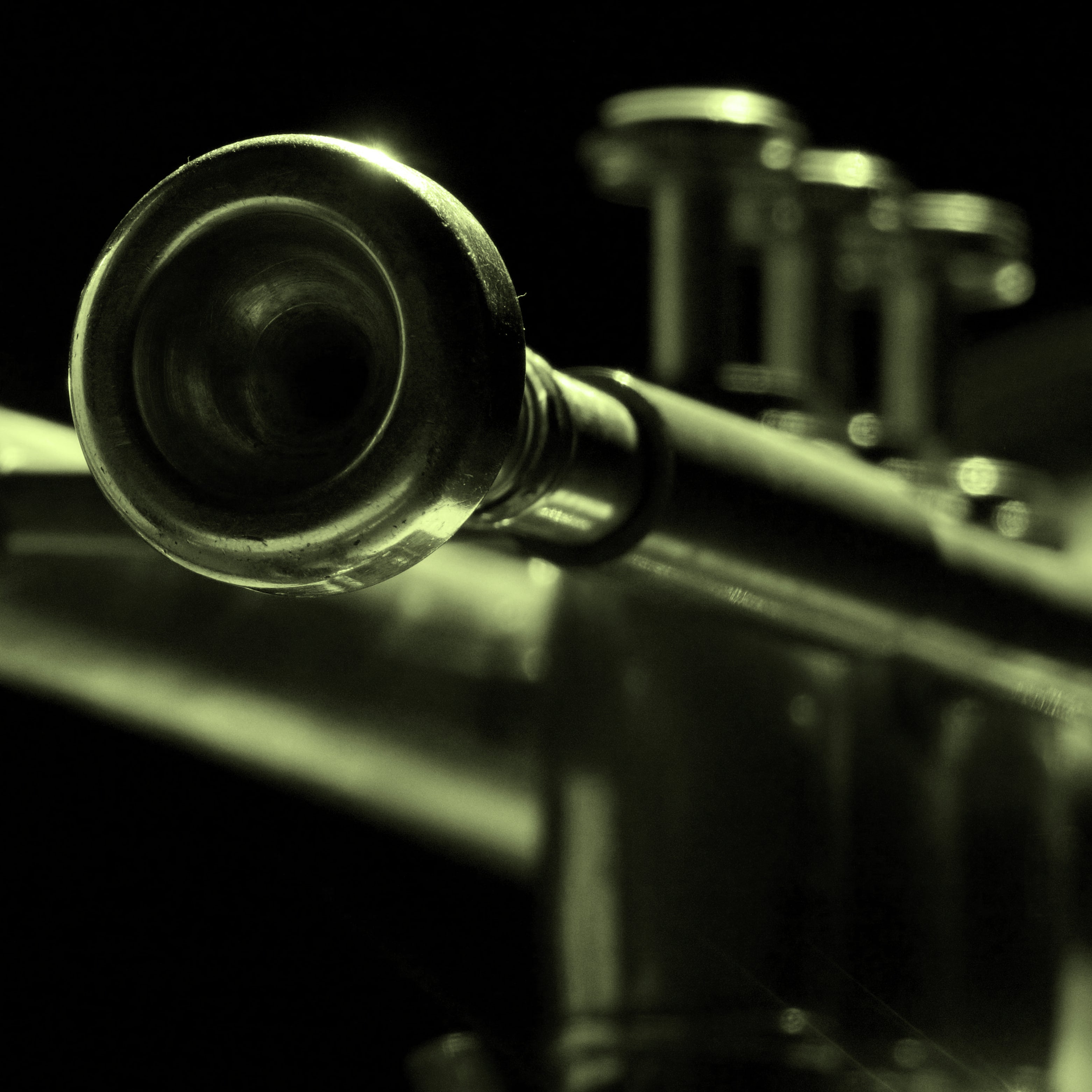 Trumpet & Flugelhorn