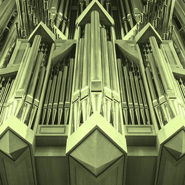 Organ