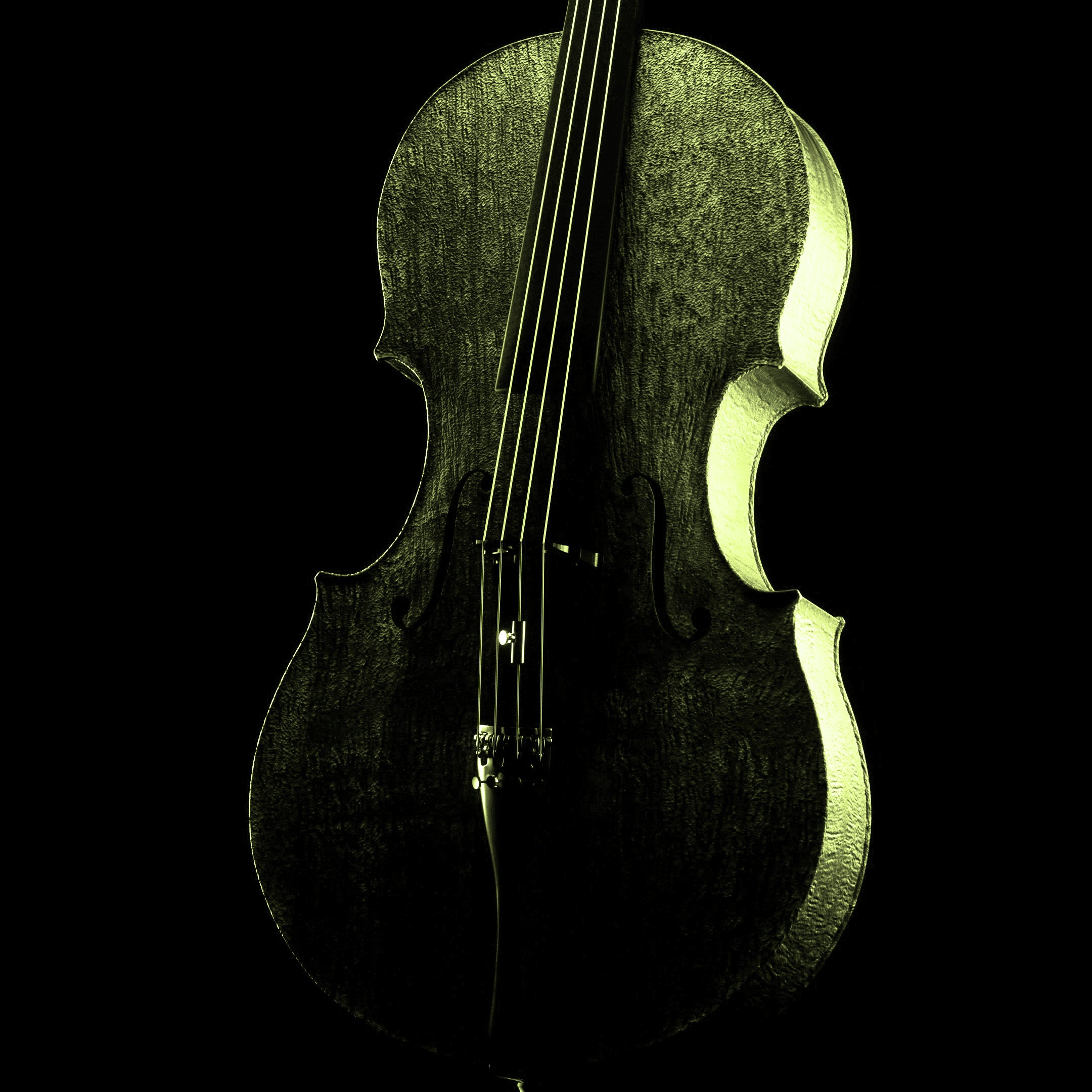 Contrabass