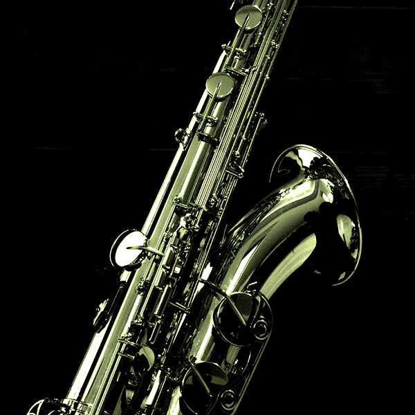 Alto Saxophone